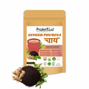 Ginger Pudina Tea